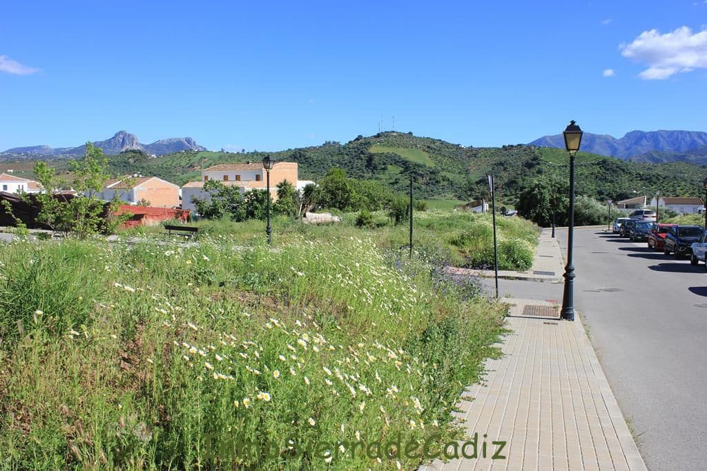 Teren niezagospodarowany na sprzedaż w Algodonales - 45 000 € (Ref: 9811368)
