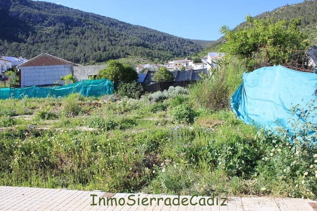 Teren niezagospodarowany na sprzedaż w Algodonales - 45 000 € (Ref: 9811368)