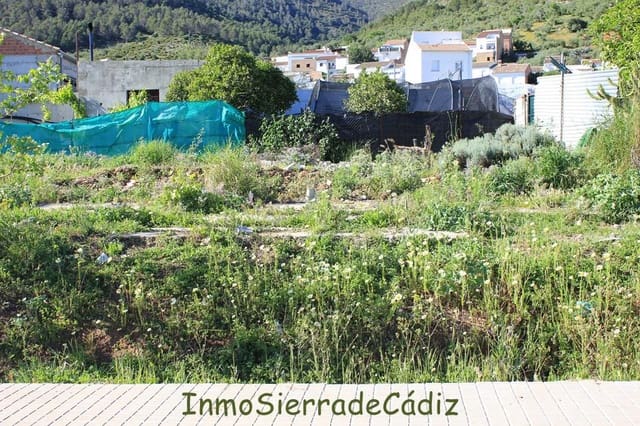 Teren niezagospodarowany na sprzedaż w Algodonales - 45 000 € (Ref: 9811368)