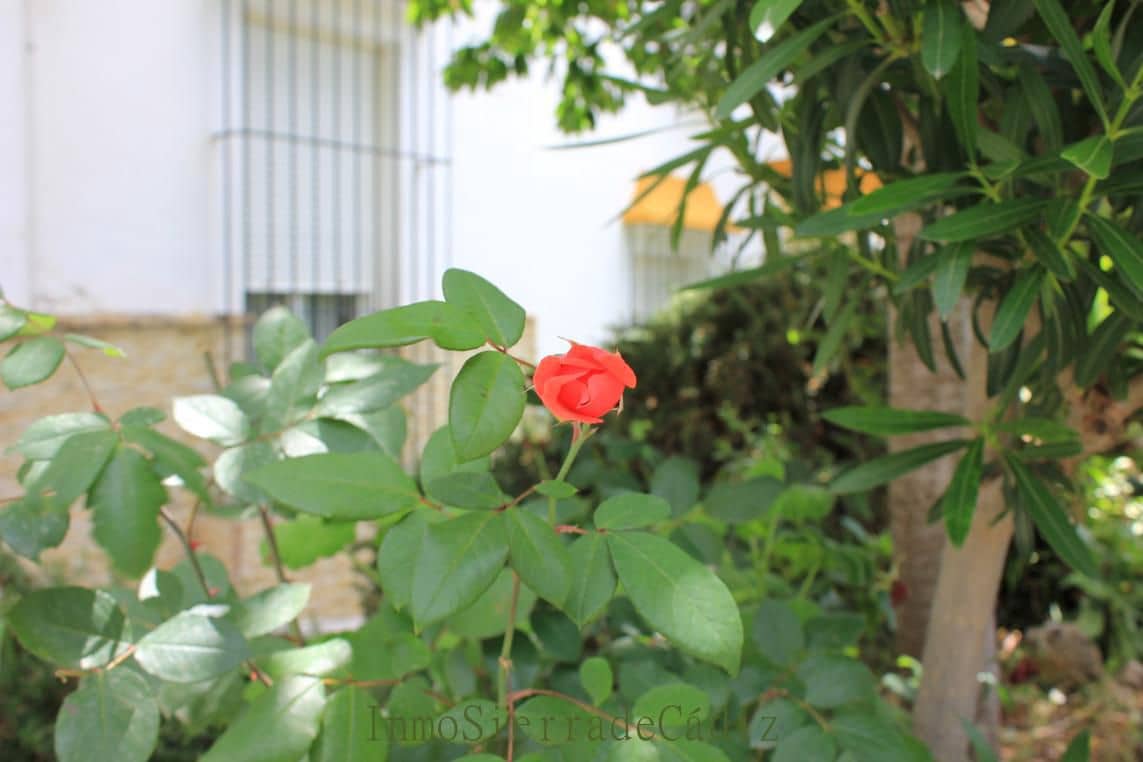 3 bedroom Townhouse for sale in Algodonales - € 117,000 (Ref: 9845181)