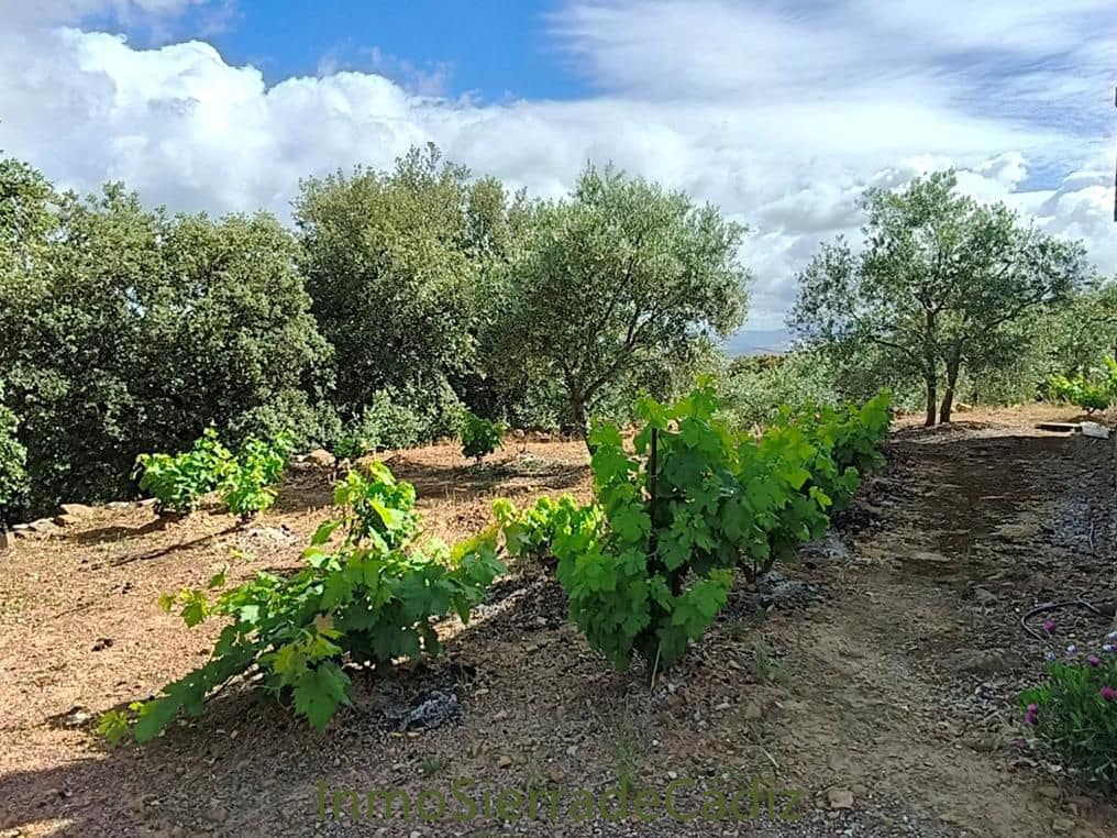 2 camera da letto Finca/Casa di Campagna in vendita in El Gastor con garage - 515.000 € (Rif: 9859630)