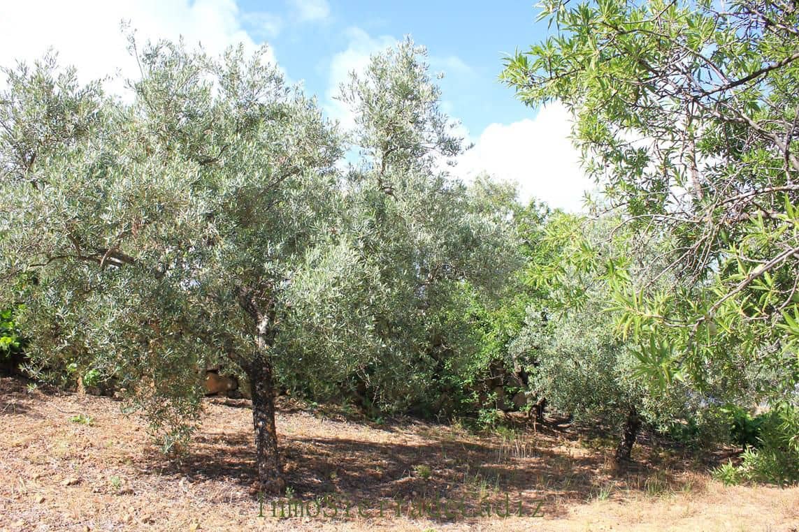 2 camera da letto Finca/Casa di Campagna in vendita in El Gastor con garage - 515.000 € (Rif: 9859630)