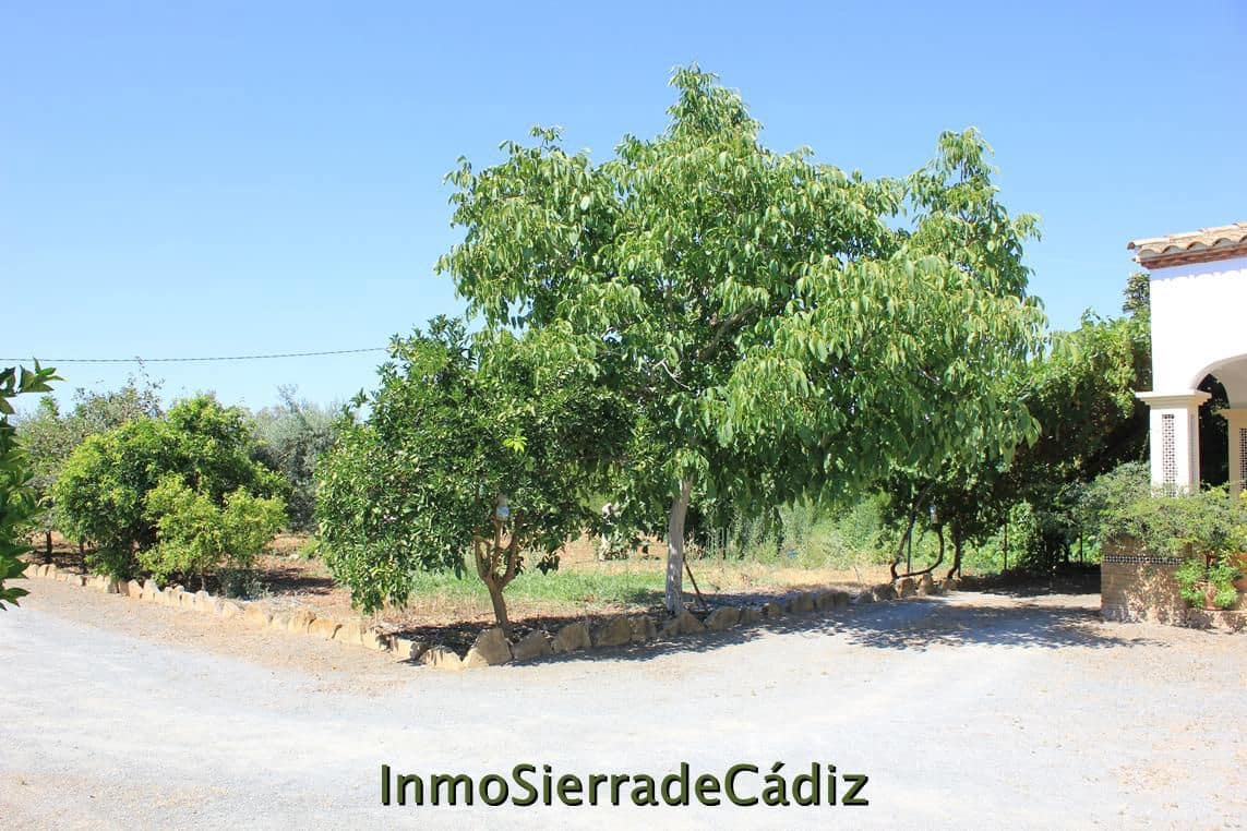2 soveværelse Finca/Landehus til salg i El Coronil - € 215.000 (Ref: 9935996)