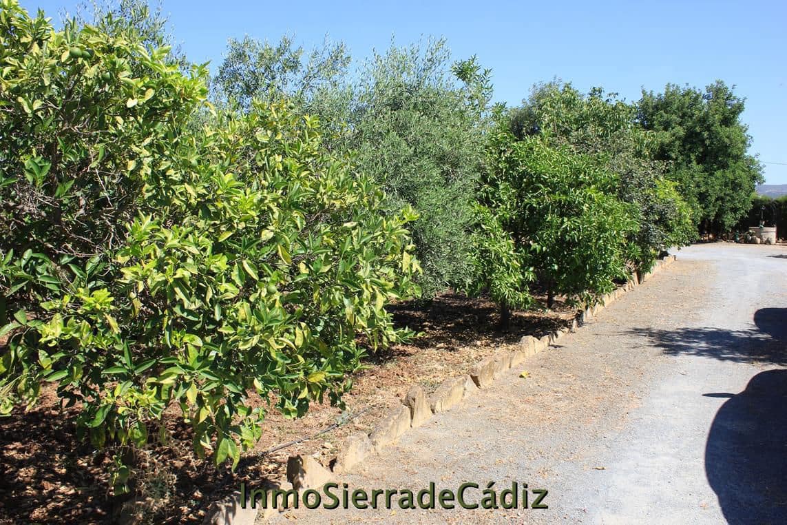 2 soveværelse Finca/Landehus til salg i El Coronil - € 215.000 (Ref: 9935996)