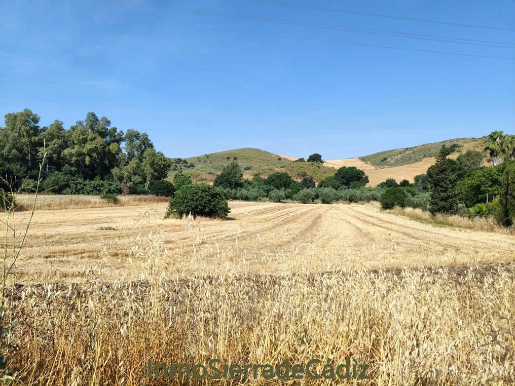 Finca/Landehus til salg i Algodonales - € 80.000 (Ref: 9952058)