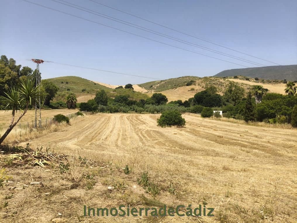 Finca/Landehus til salg i Algodonales - € 80.000 (Ref: 9952058)