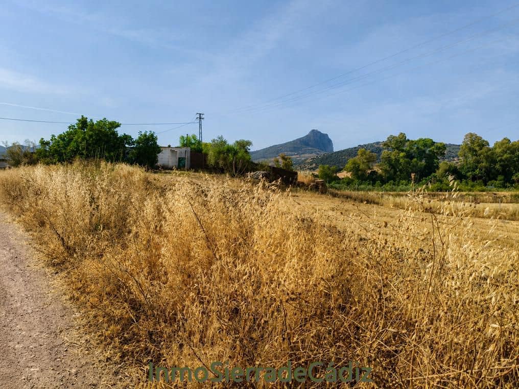 Finca/Landehus til salg i Algodonales - € 80.000 (Ref: 9952058)