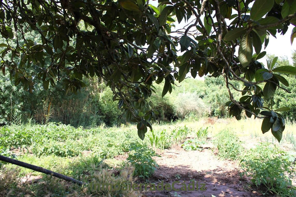 Finca/Landehus til salg i Algodonales - € 80.000 (Ref: 9952058)