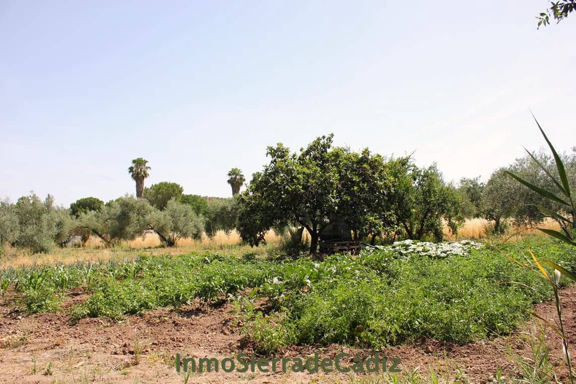 Finca/Landehus til salg i Algodonales - € 80.000 (Ref: 9952058)