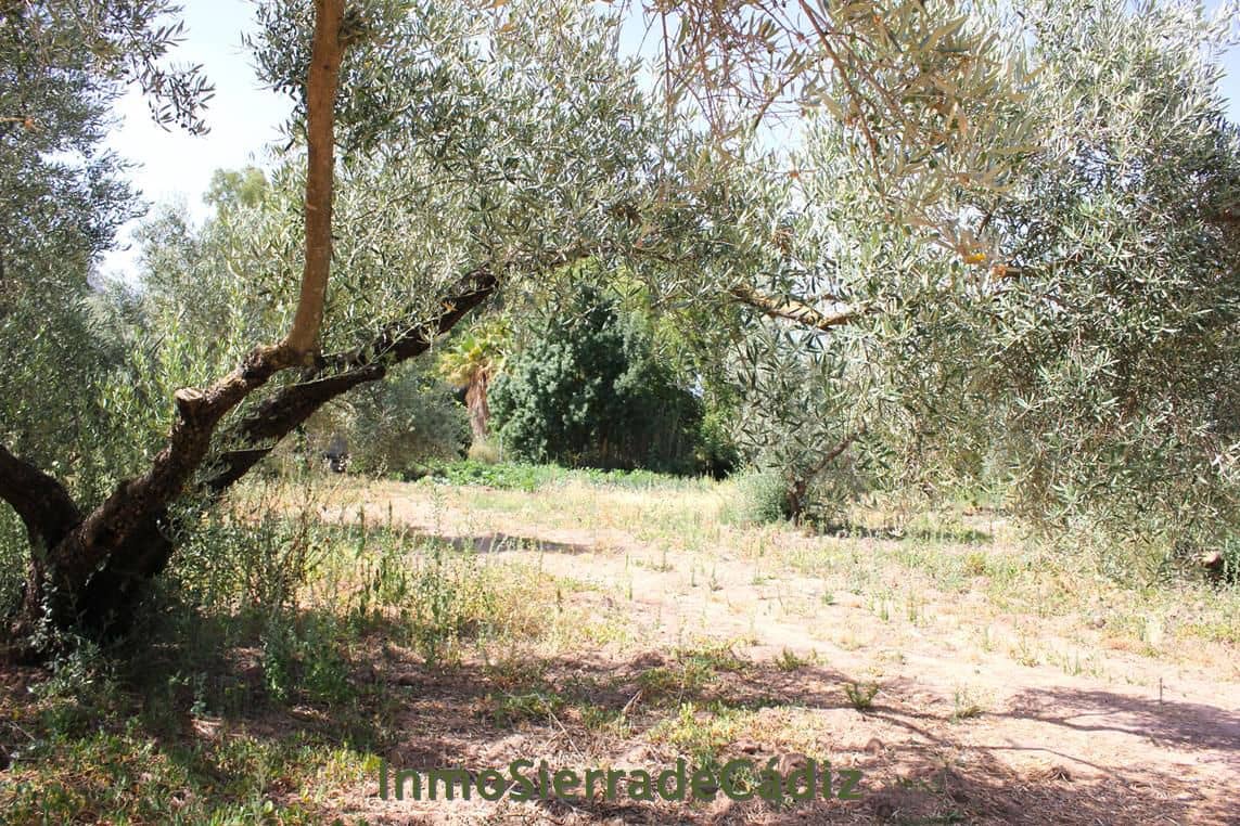 Finca/Landehus til salg i Algodonales - € 80.000 (Ref: 9952058)