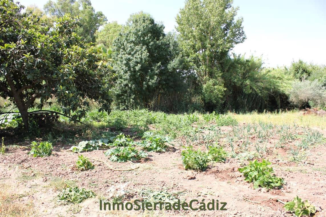 Finca/Landehus til salg i Algodonales - € 80.000 (Ref: 9952058)