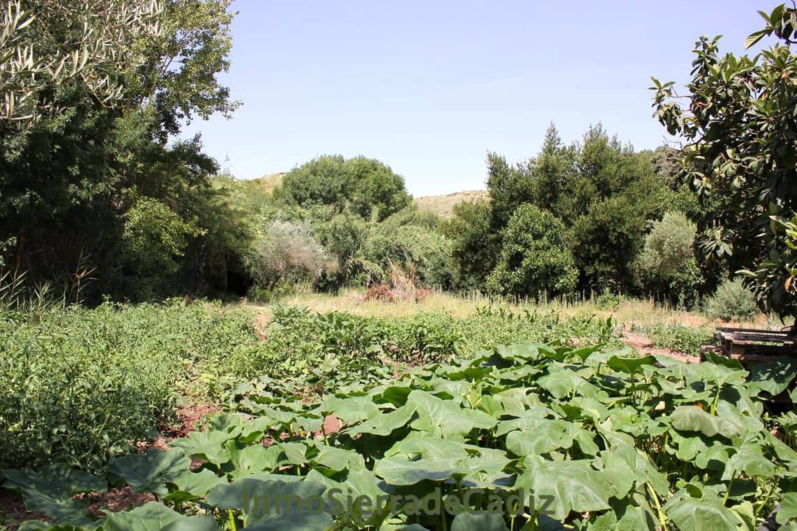 Finca/Landehus til salg i Algodonales - € 80.000 (Ref: 9952058)