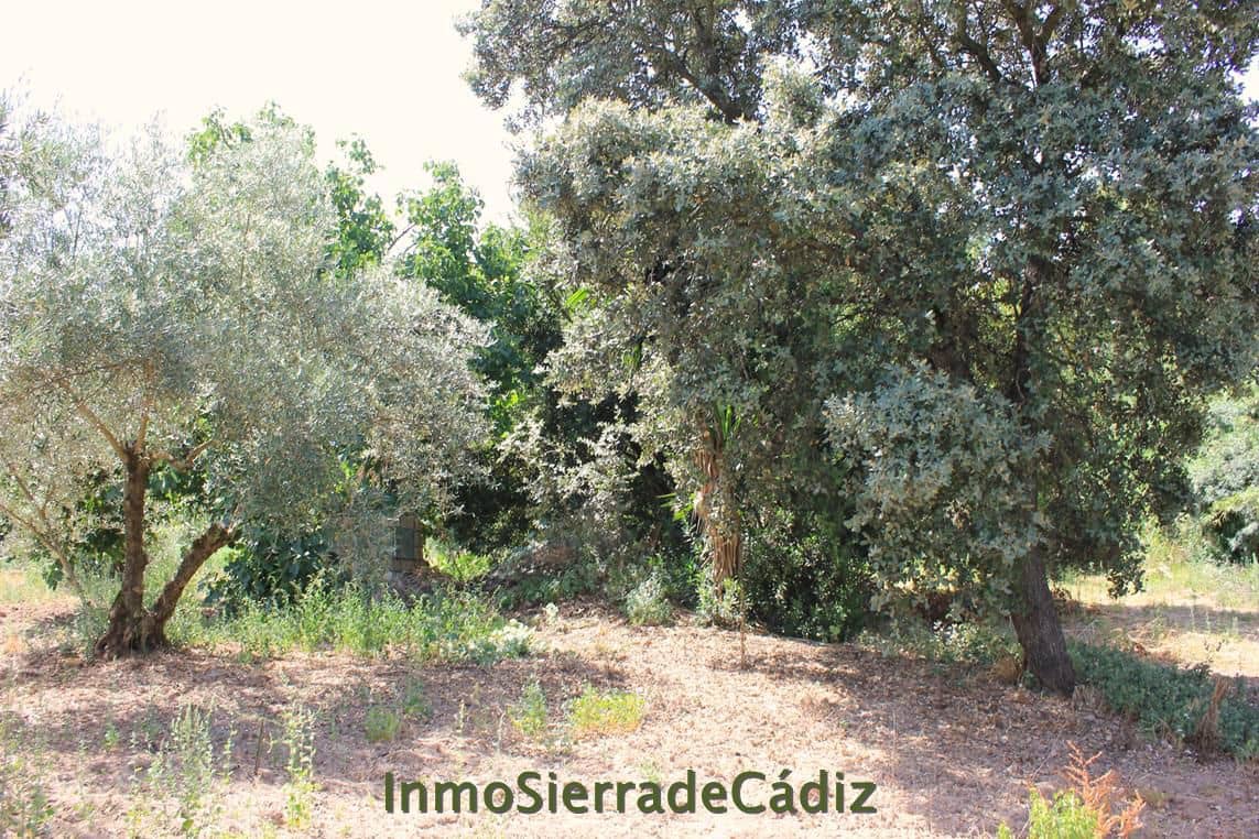 Finca/Landehus til salg i Algodonales - € 80.000 (Ref: 9952058)