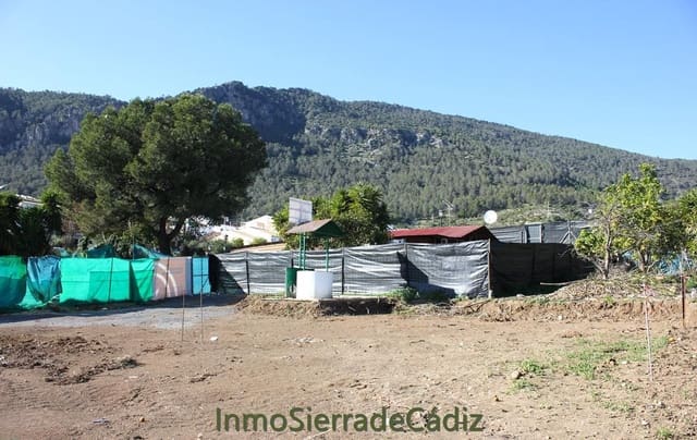 Terreno Non Edificato in vendita in Algodonales - 90.000 € (Rif: 9962276)
