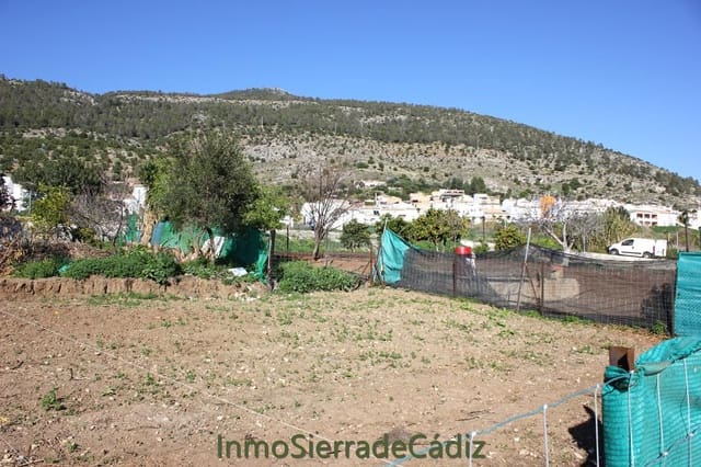 Terreno Non Edificato in vendita in Algodonales - 90.000 € (Rif: 9962276)