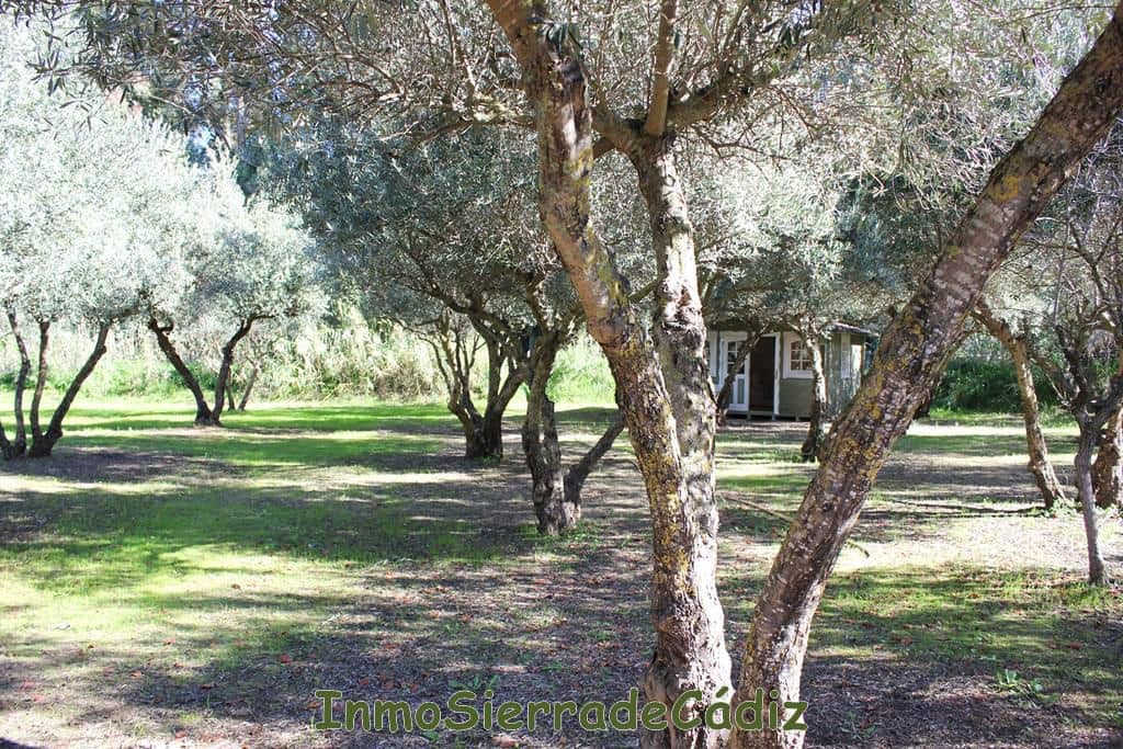 3 soverom Finca/Herregård til salgs i Algodonales med garasje - € 380 000 (Ref: 9963412)