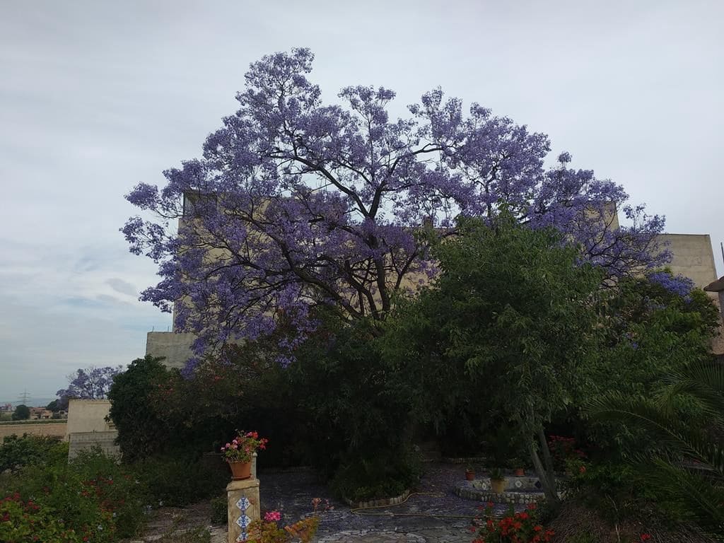 Finca/Country House for sale in Almassora / Almazora - € 900,000 (Ref: 9502796)