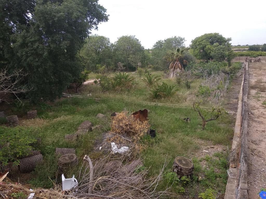 Finca/Country House for sale in Almassora / Almazora - € 900,000 (Ref: 9502796)