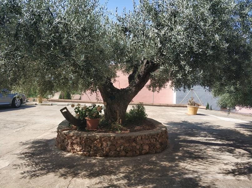 7 soveværelse Villa til salg i Borriol med swimmingpool - € 500.000 (Ref: 9502863)