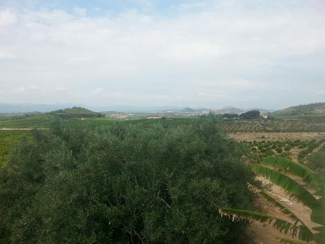 Finca/Herregård til salgs i Oeste, Castelló de la Plana - € 400 000 (Ref: 9502874)