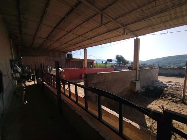 Terreno/Finca Rústica en L'Alcora en venta - 300.000 € (Ref: 9502903)