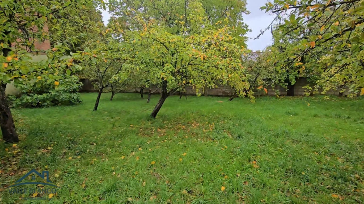 3 soveværelse Villa til salg i Valle de Valdebezana - € 145.000 (Ref: 8598130)