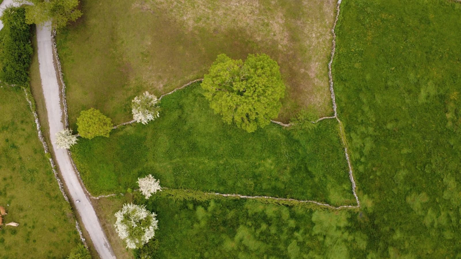 Building Plot for sale in Campoo de Yuso - € 49,900 (Ref: 9868058)