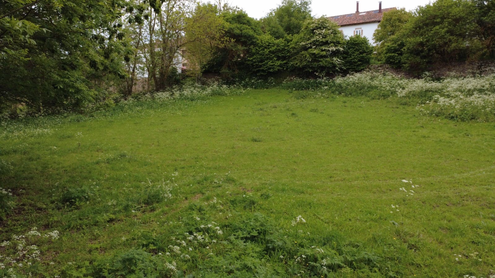Area Edificabile in vendita in Hermandad de Campoo de Suso - 60.000 € (Rif: 9900733)