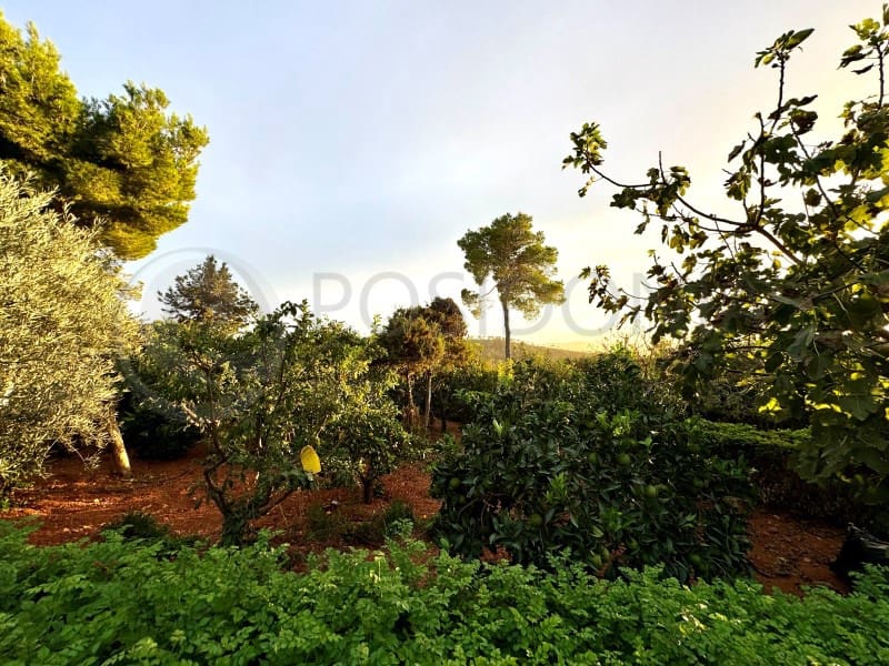 3 soveværelse Villa til salg i Cala Gracio med garage - € 3.500.000 (Ref: 9017127)