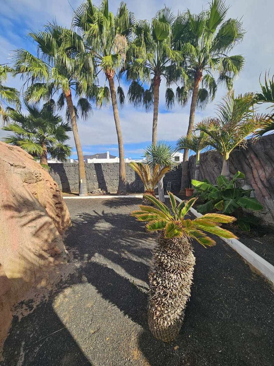 3 soveværelse Villa til salg i Playa Blanca med swimmingpool garage - € 650.000 (Ref: 8775816)