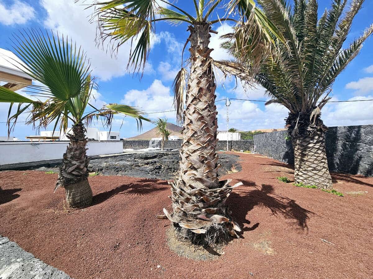 6 sovrum Villa till salu i Tahiche med pool garage - 2 200 000 € (Ref: 9275657)