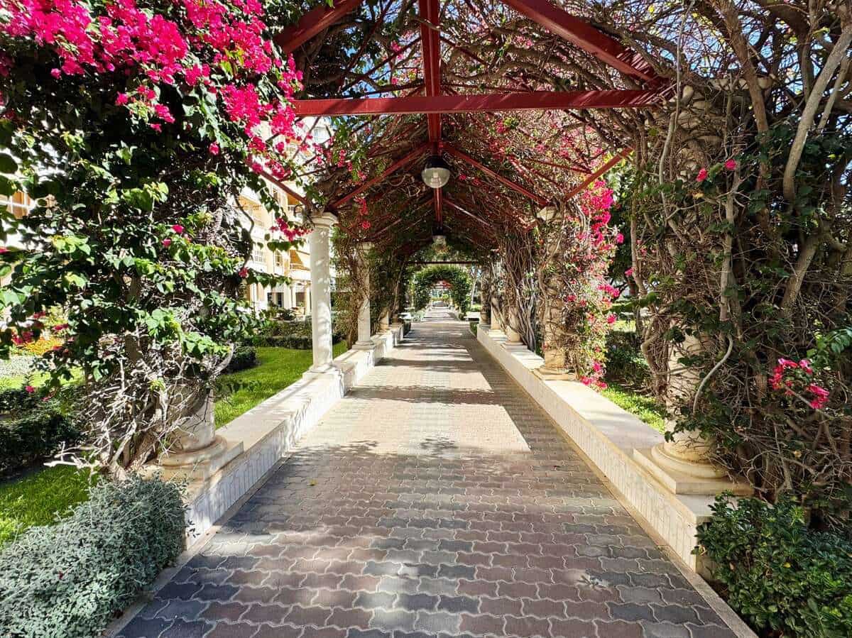 2 quarto Apartamento para venda em Playa de San Juan com garagem - 790 000 € (Ref: 9453050)