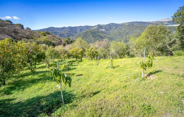 1 slaapkamer Finca/Landhuis te koop in Genalguacil - € 395.000 (Ref: 8135222)