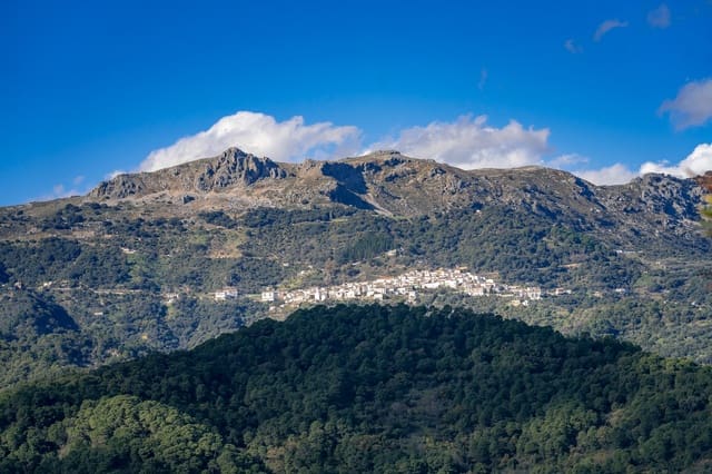 1 slaapkamer Finca/Landhuis te koop in Genalguacil - € 395.000 (Ref: 8135222)