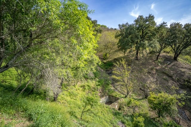 1 slaapkamer Finca/Landhuis te koop in Genalguacil - € 395.000 (Ref: 8135222)