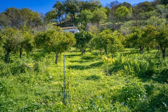 1 slaapkamer Finca/Landhuis te koop in Genalguacil - € 395.000 (Ref: 8135222)