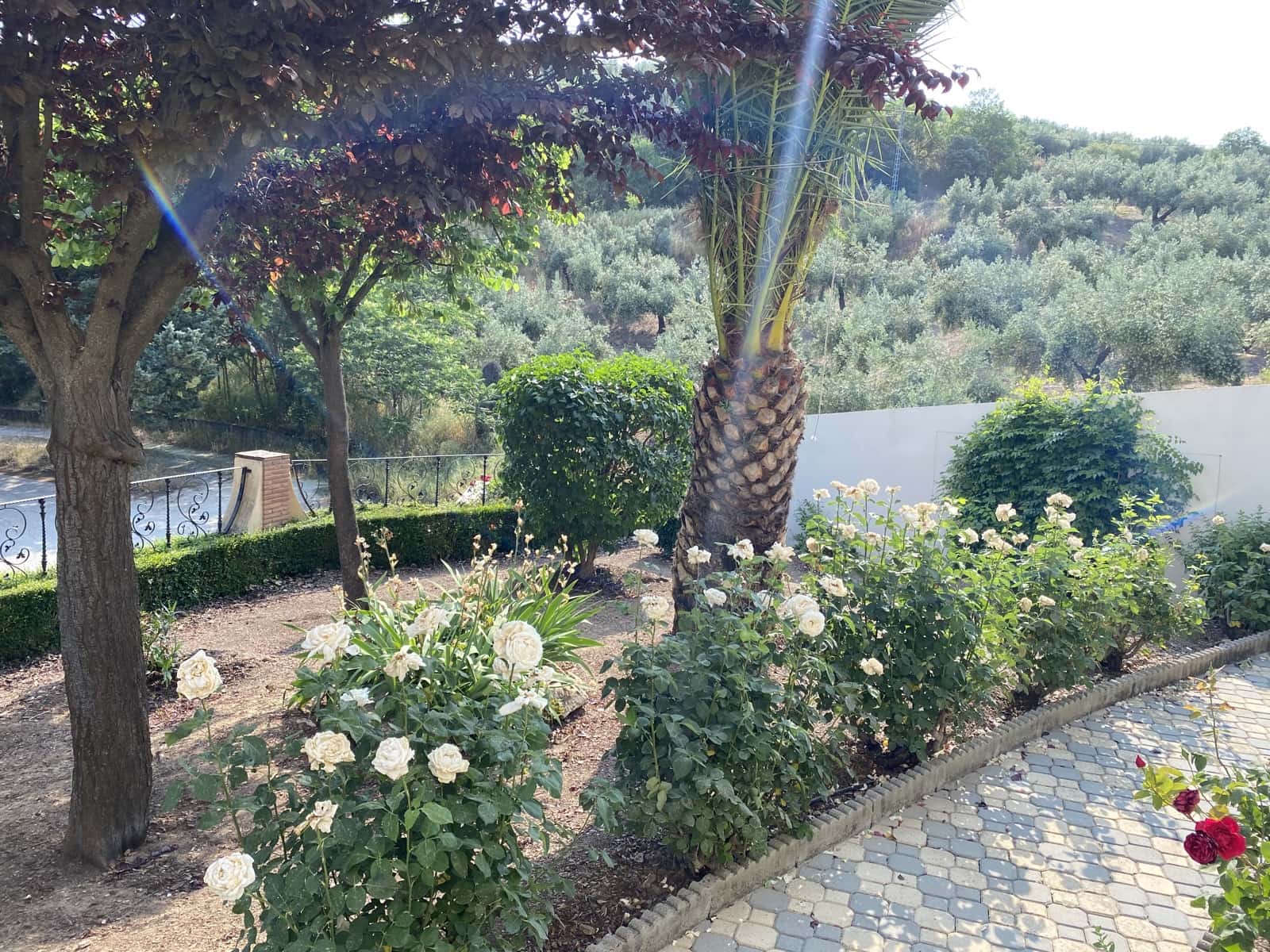 8 soveværelse Villa til salg i Moclin med swimmingpool garage - € 475.000 (Ref: 9066953)