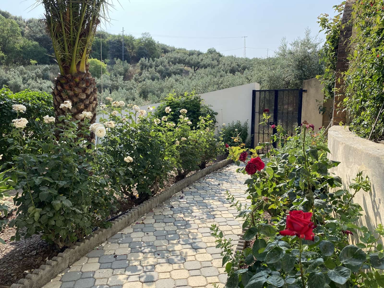 8 soveværelse Villa til salg i Moclin med swimmingpool garage - € 475.000 (Ref: 9066953)