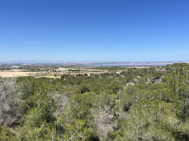 3 chambre Bungalow à vendre à Orihuela Costa, Orihuela avec piscine - 219 000 € (Ref: 9888687)
