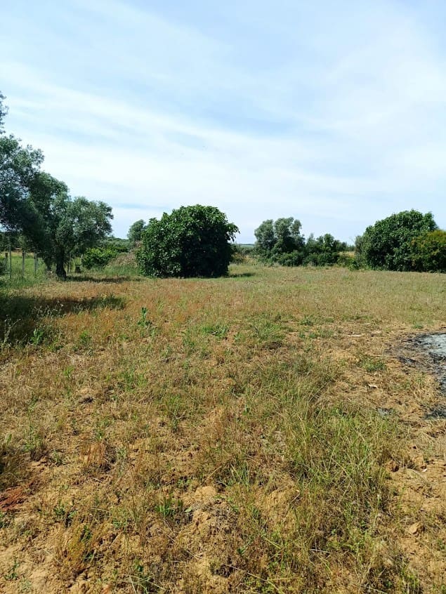 Finca/Landhuis te koop in Almonte - € 68.000 (Ref: 10038368)