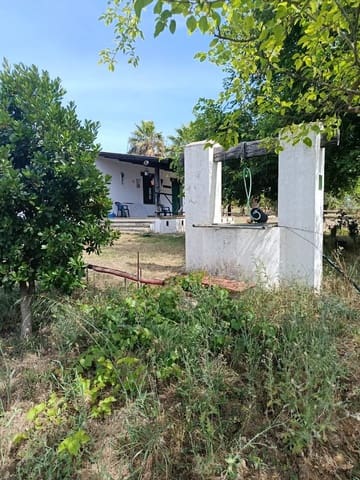 Finca/Maison de Campagne à vendre à Almonte - 68 000 € (Ref: 10038368)