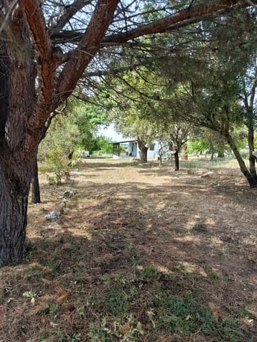 Finca/Maison de Campagne à vendre à Almonte - 68 000 € (Ref: 10038368)