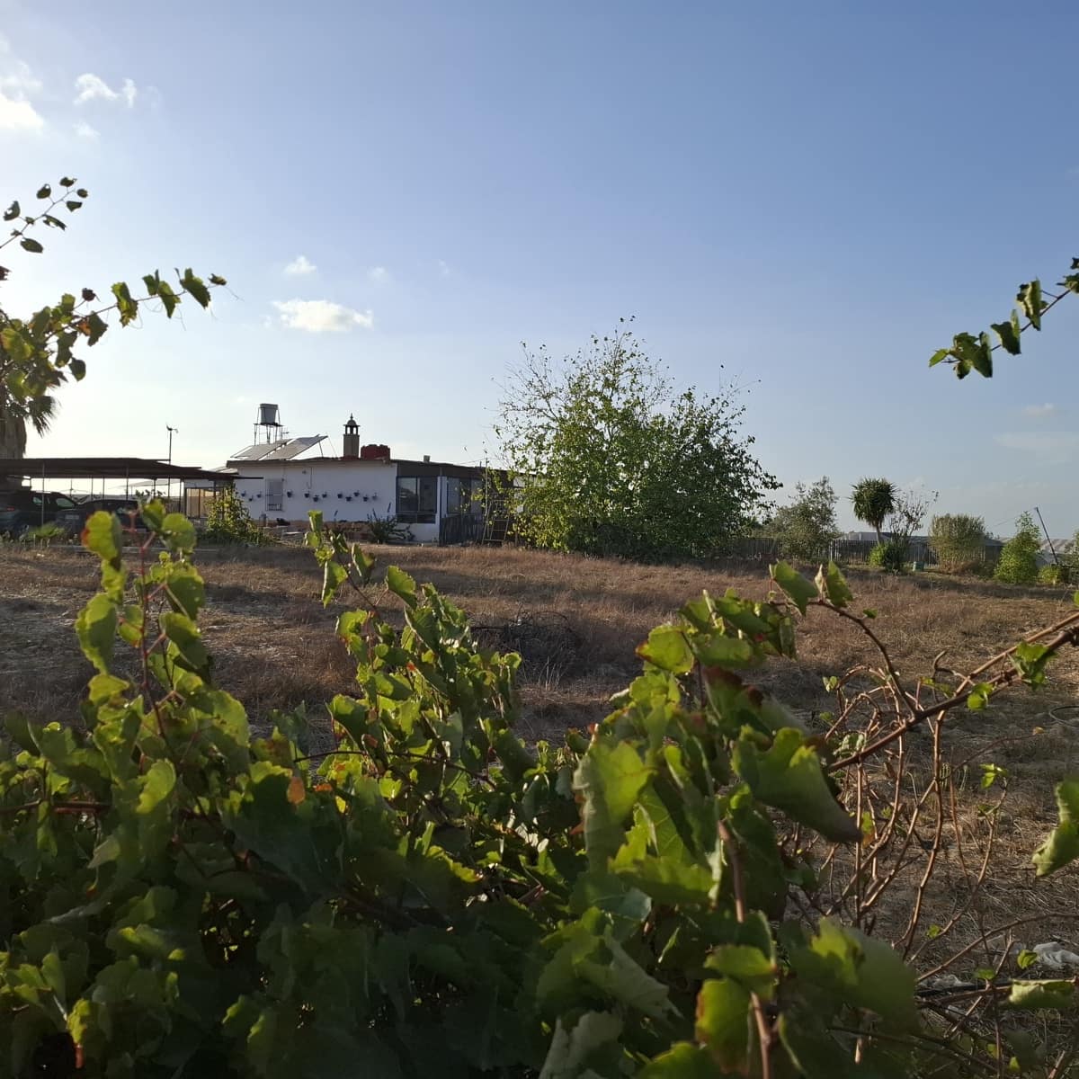 3 bedroom Finca/Country House for sale in Almonte with pool garage - € 165,000 (Ref: 10157604)