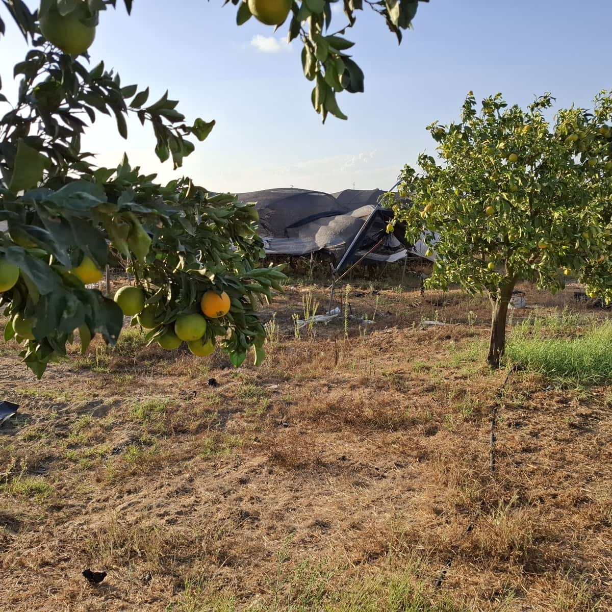 3 bedroom Finca/Country House for sale in Almonte with pool garage - € 165,000 (Ref: 10157604)