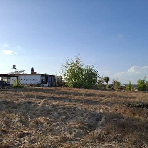 3 camera da letto Finca/Casa di Campagna in vendita in Almonte con piscina garage - 165.000 € (Rif: 10157604)
