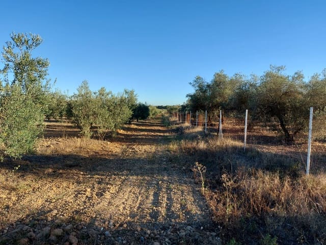 2 slaapkamer Finca/Landhuis te koop in Almonte met garage - € 170.000 (Ref: 8152825)