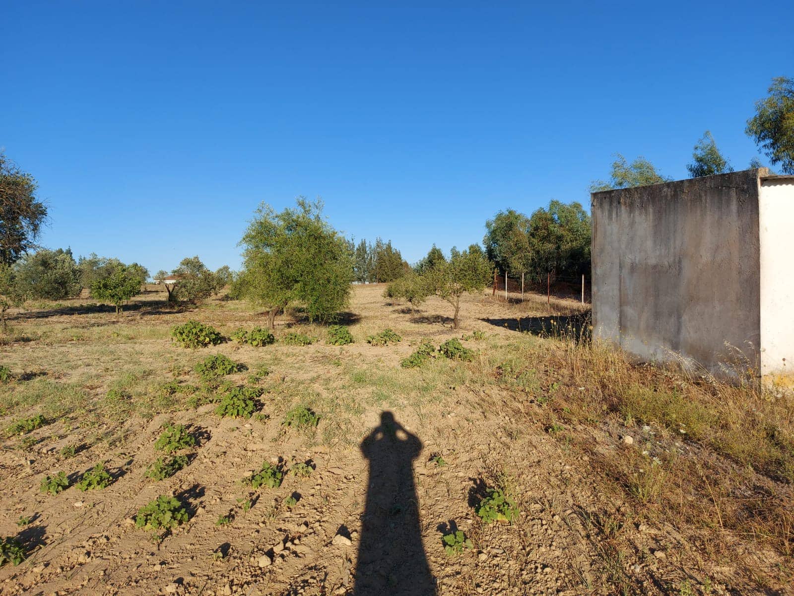 2 soveværelse Finca/Landehus til salg i Almonte med garage - € 170.000 (Ref: 8152825)