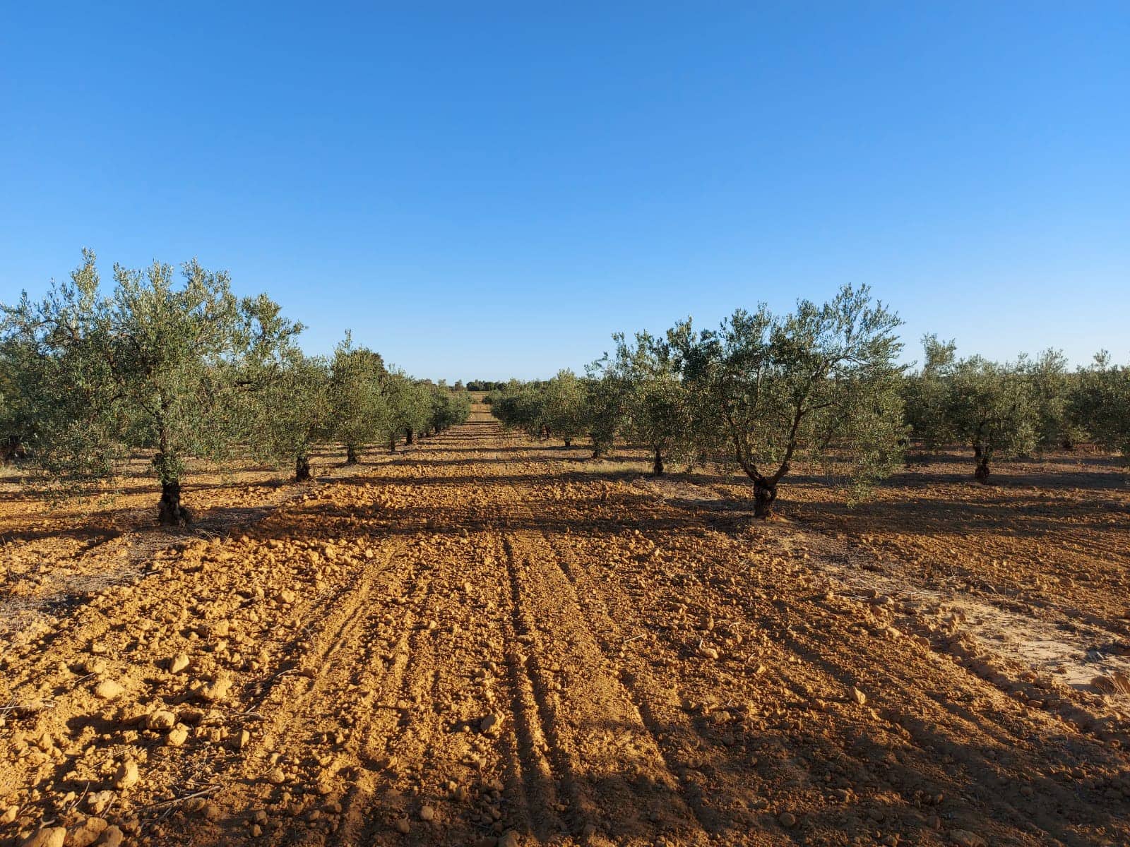 2 soveværelse Finca/Landehus til salg i Almonte med garage - € 170.000 (Ref: 8152825)