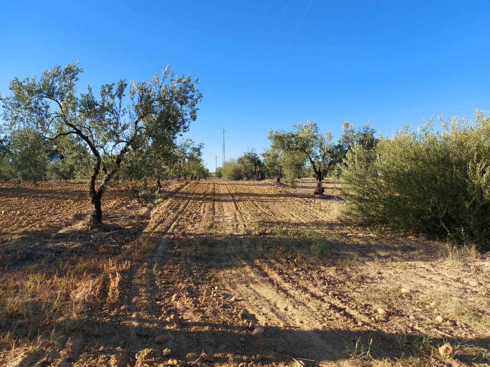 2 soveværelse Finca/Landehus til salg i Almonte med garage - € 170.000 (Ref: 8152825)