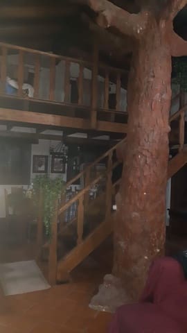 5 Zimmer Finca/Landgut zu verkaufen in Almonte mit Garage - 279.000 € (Ref: 8152826)